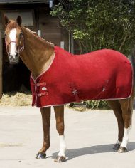Soft Touch Fleece Red