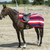equi theme stripe exercise sheet in various sizes, raspbery navy and beige colour.